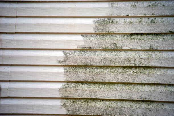 Best Carpet Removal and Disposal  in Mentone, IN